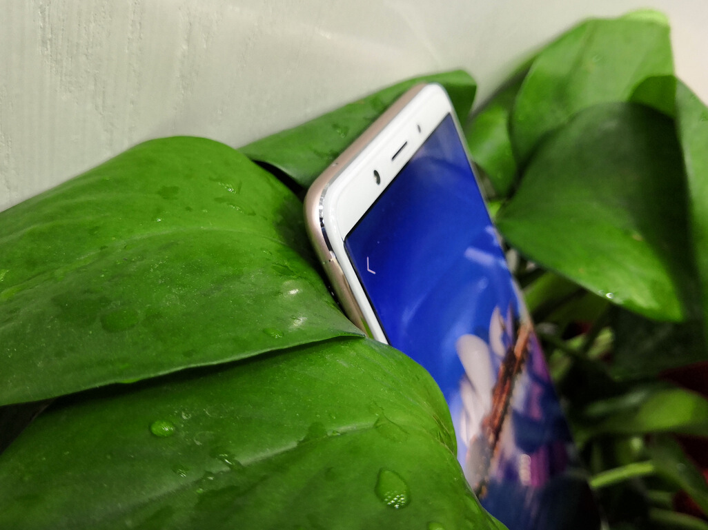 千元机上市如雨后春笋,OPPOA79为何能屹立不