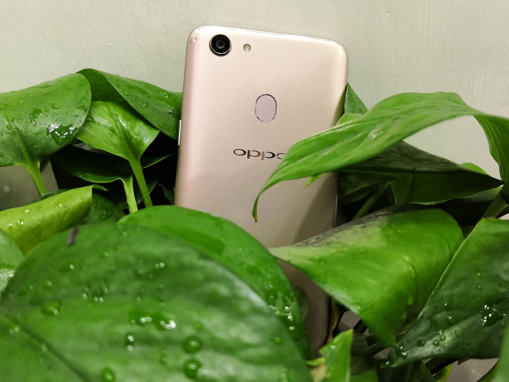 千元机上市如雨后春笋,OPPOA79为何能屹立不