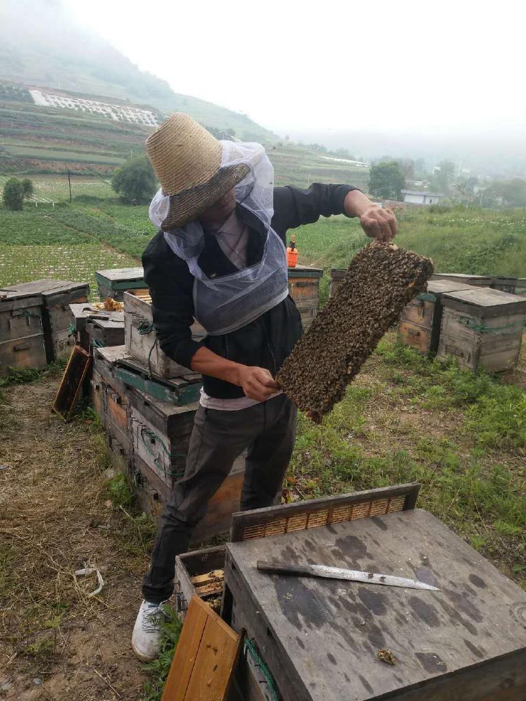 蜂农人家