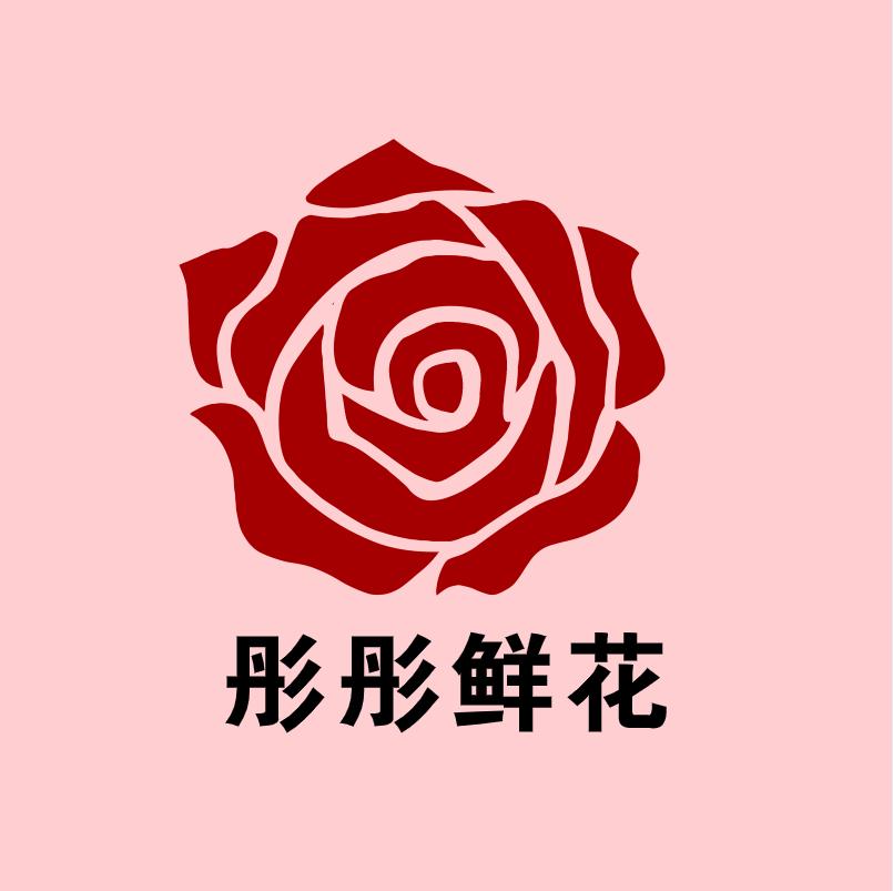 198随机小雏菊toobigdata带货数据