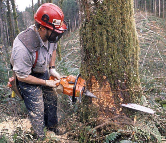 中国 电动锄头一登场,农民们乐开花,日耕十亩