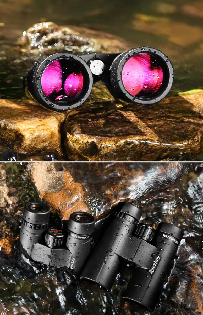 艾斯基巡天10x42ed镜片双筒望远镜高清防水户外寻蜂放牧演唱会