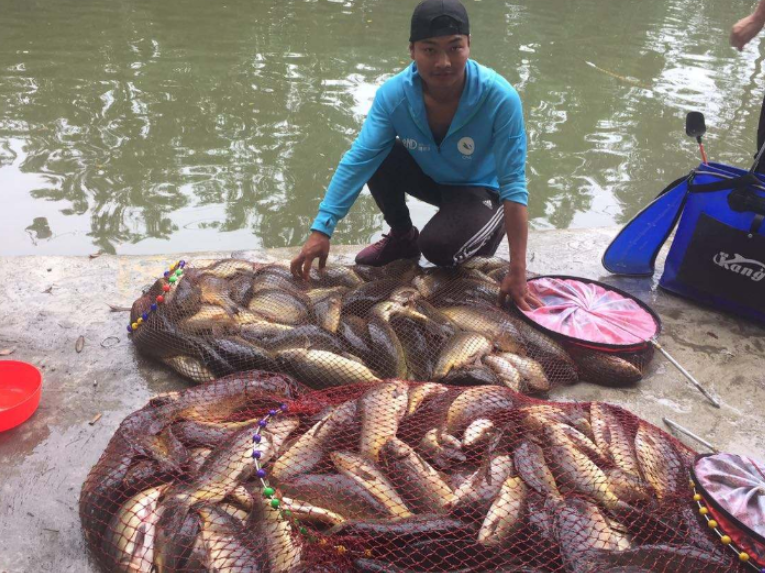 宁吃一月馒头,也拿下这自动上鱼器,鱼货翻几翻