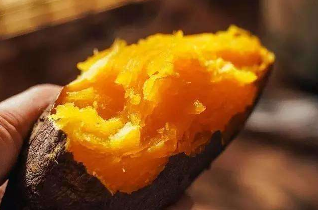 早春钓鱼,老钓友教你巧用红薯钓鲤鱼,鲤鱼咬钩