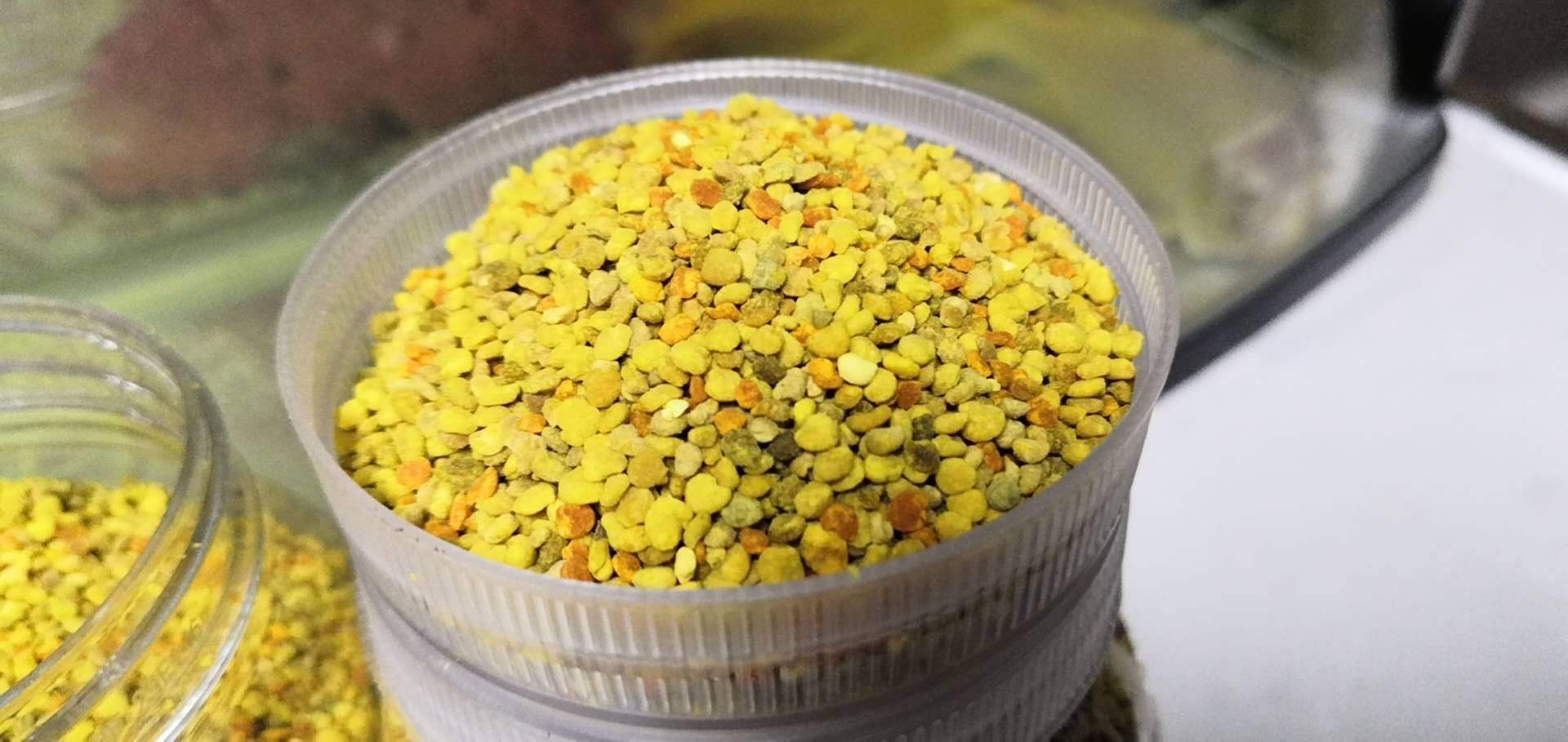 东北黑蜂百花粉一瓶500gtoobigdata带货数据