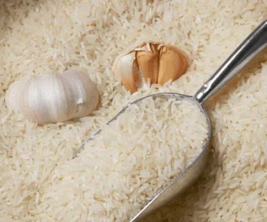 大米生虫别担心,农村奶奶教你3土方法,再也不