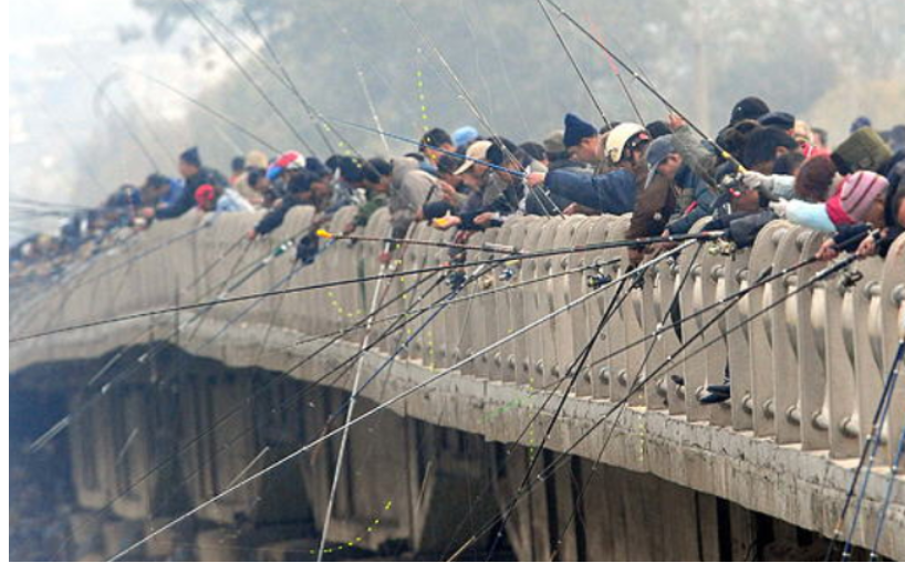 宁吃一月馒头,也拿下这自动上鱼器,鱼货翻几翻
