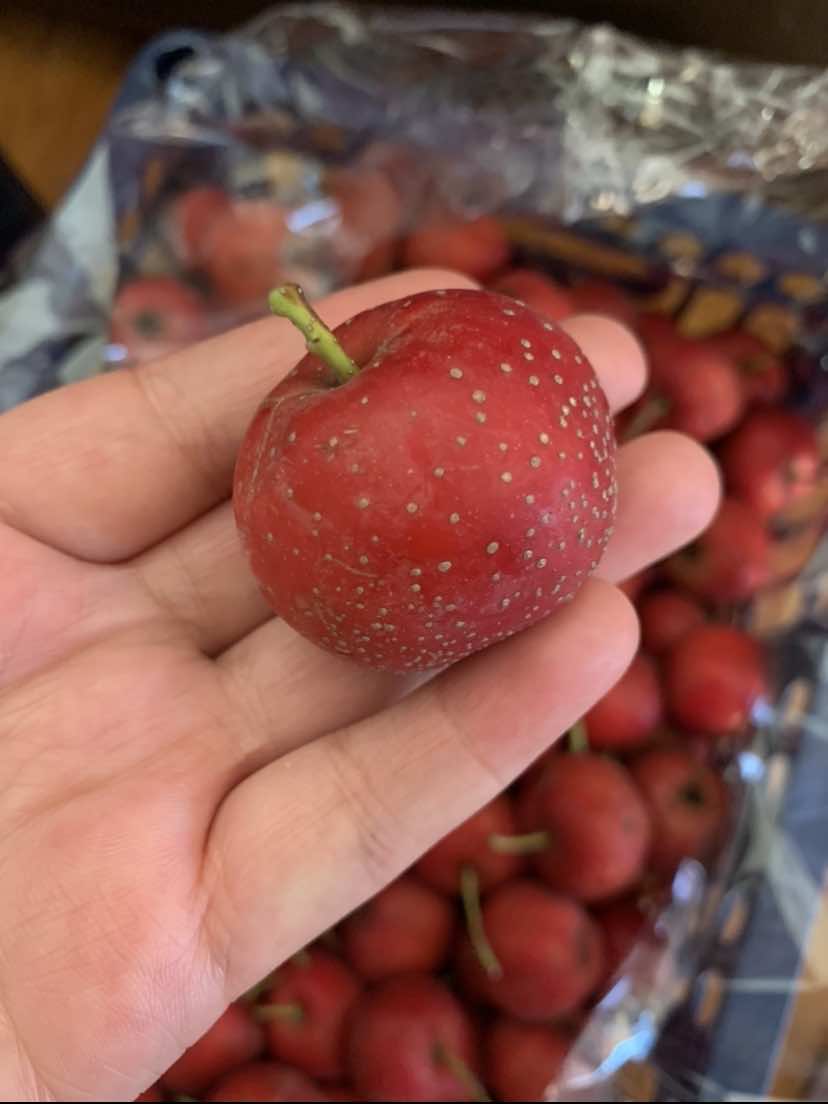 云南新鲜山楂果,2斤/17.8元